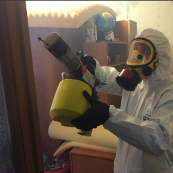 Уничтожение клопов в квартире. Уваровка